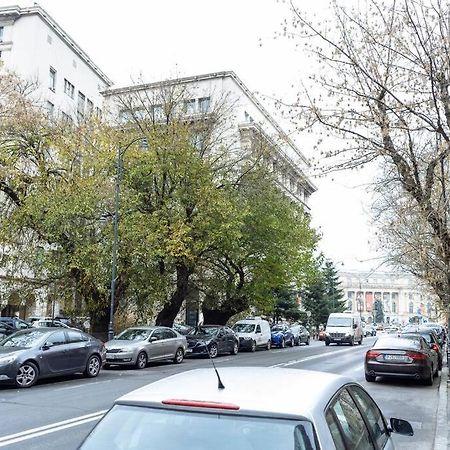 Appartement La dame bleue à Bucarest Extérieur photo